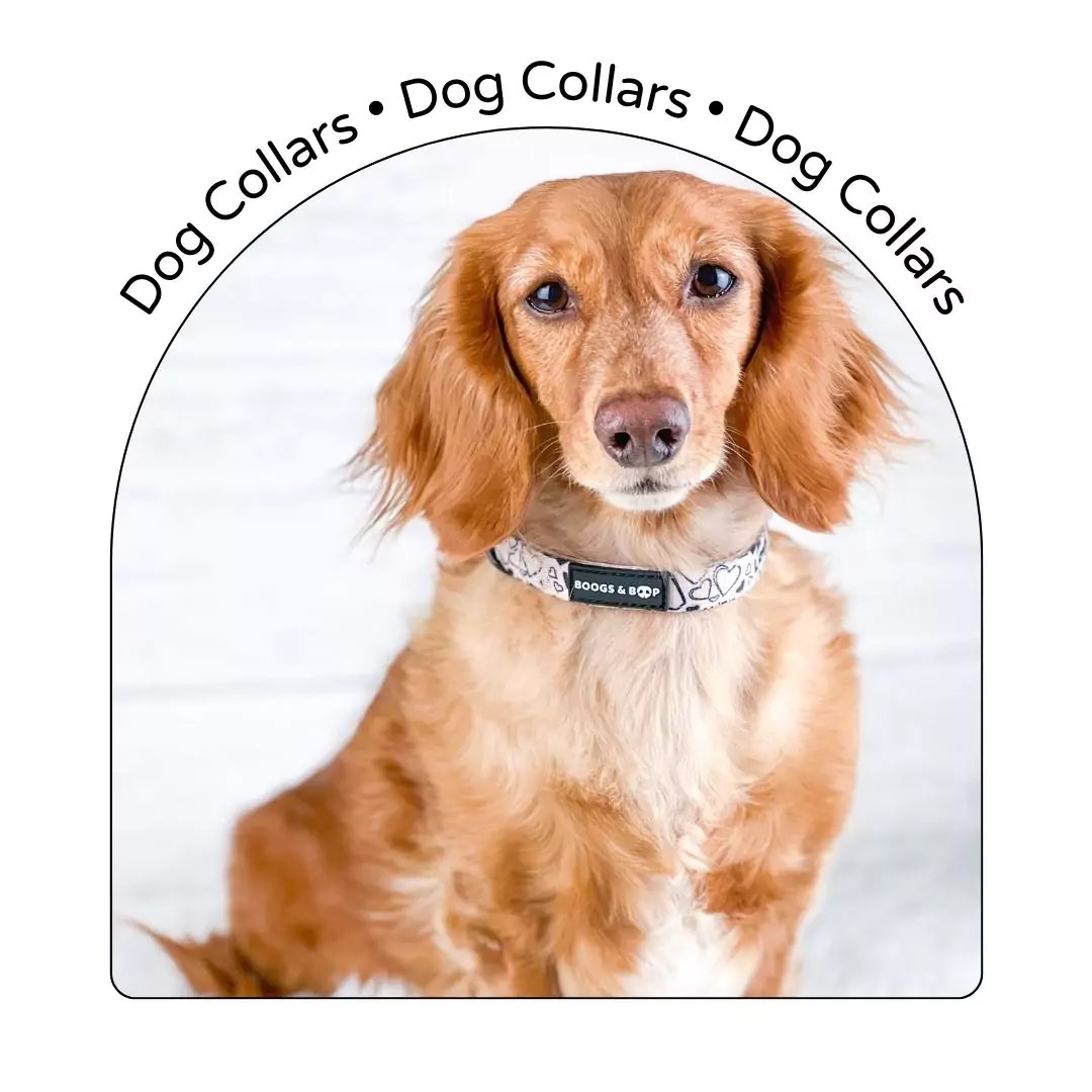 http://www.boogsboop.com/cdn/shop/collections/dog-collars-min.jpg?v=1695085010