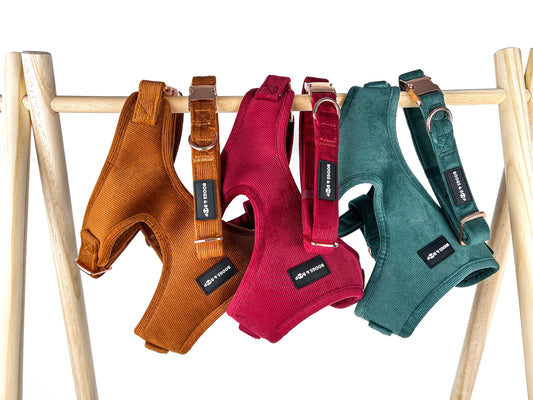 Boogs & Boop Corduroy Collection Harnesses and Collars