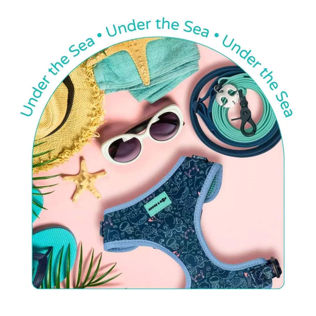 Under the Sea Dog Accessories Collection