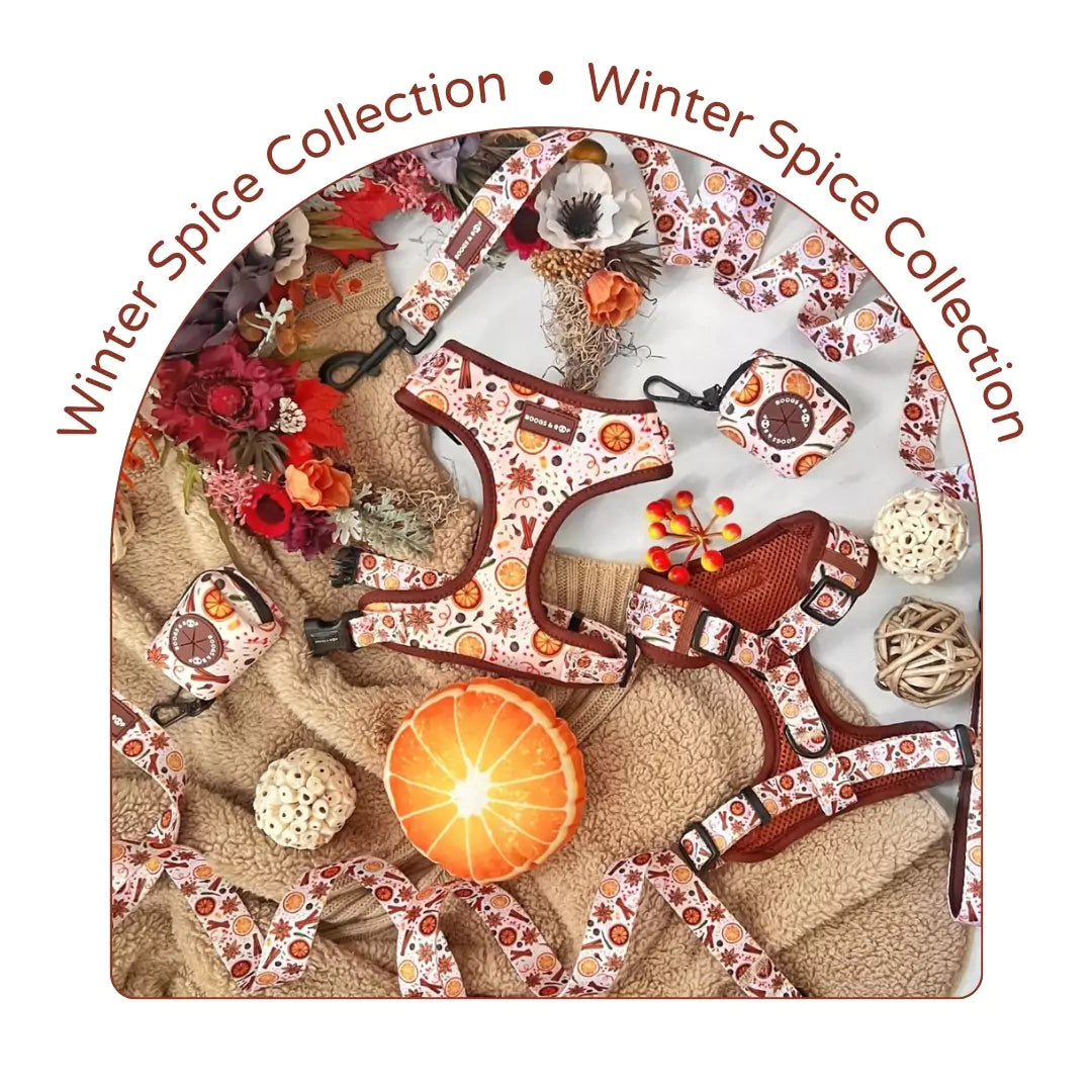 Winter Spice Dog Accessories Collection