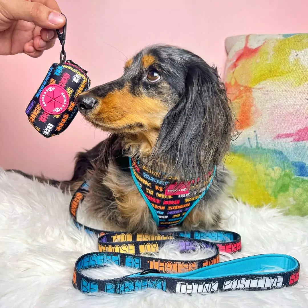 Luckoftheisles Dachshund Wearing Adjustable Pawsitive Affirmations Dog Harness with Pawsitive Affirmations Dog Leash by Boogs & Boop.
