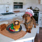 Normanthewienerdog Dressed as a Chef with Breakfast Platter Snuffle Dog Toy by Boogs & Boop.