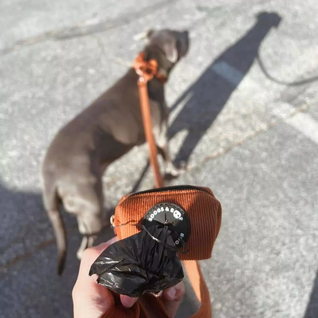 Corduroy Waste Bag Dispenser - Rust Attached to Corduroy Leash, Walking a Pitbull.