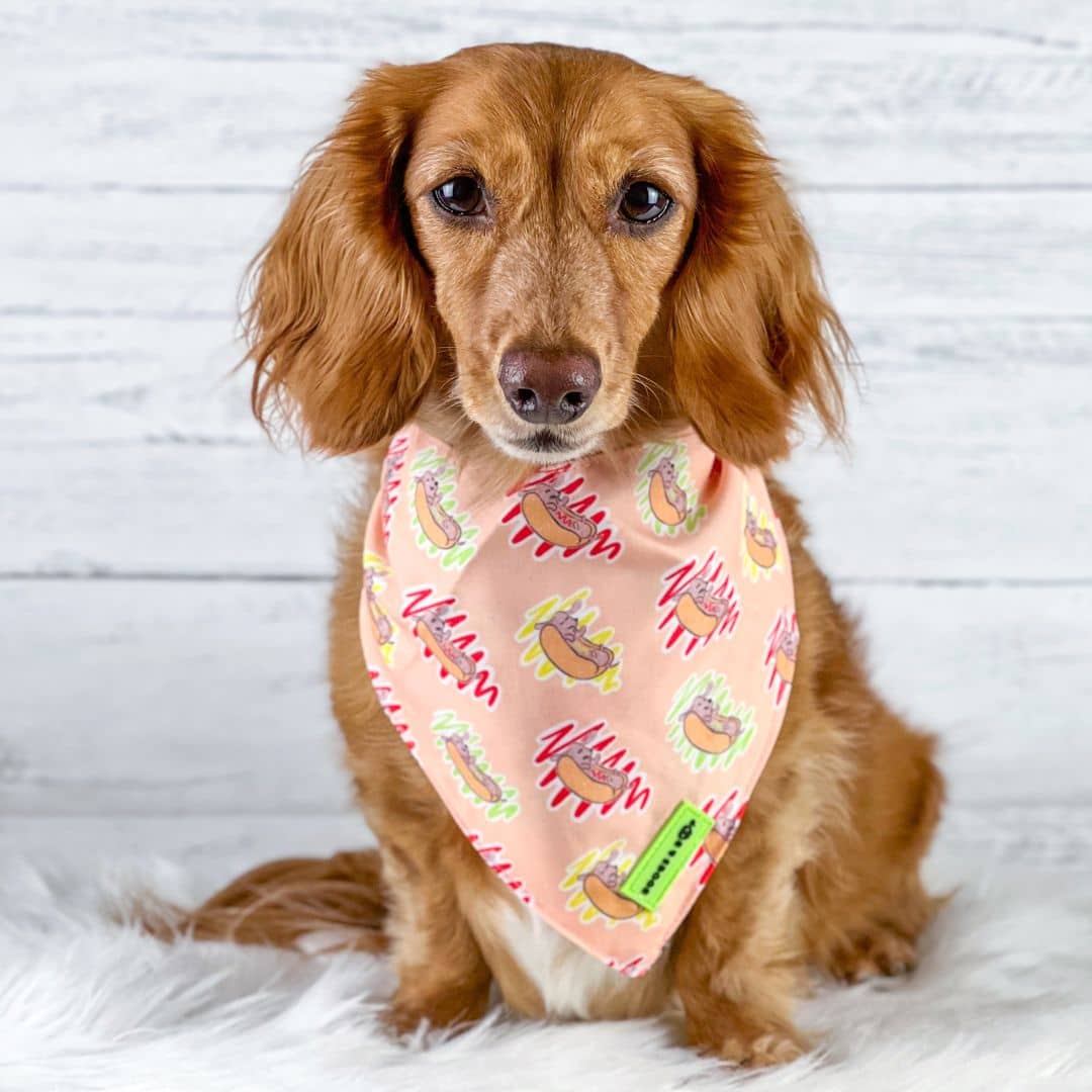 Hot dog shop bandana