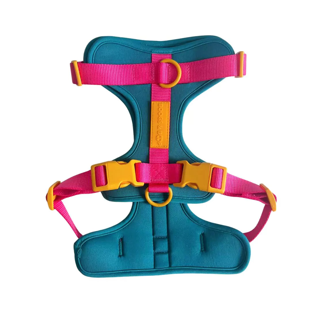 Shop No-Pull Adjustable Dog Harness - Teal-quila Sunrise by Boogs & Boop.