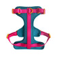 Shop No-Pull Adjustable Dog Harness - Teal-quila Sunrise Teal, Magenta Pink, and Orange by Boogs & Boop.