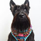 Scottish Terrier, Ginger, Wearing Adjustable Pawsitive Affirmations Dog Harness by Boogs & Boop.