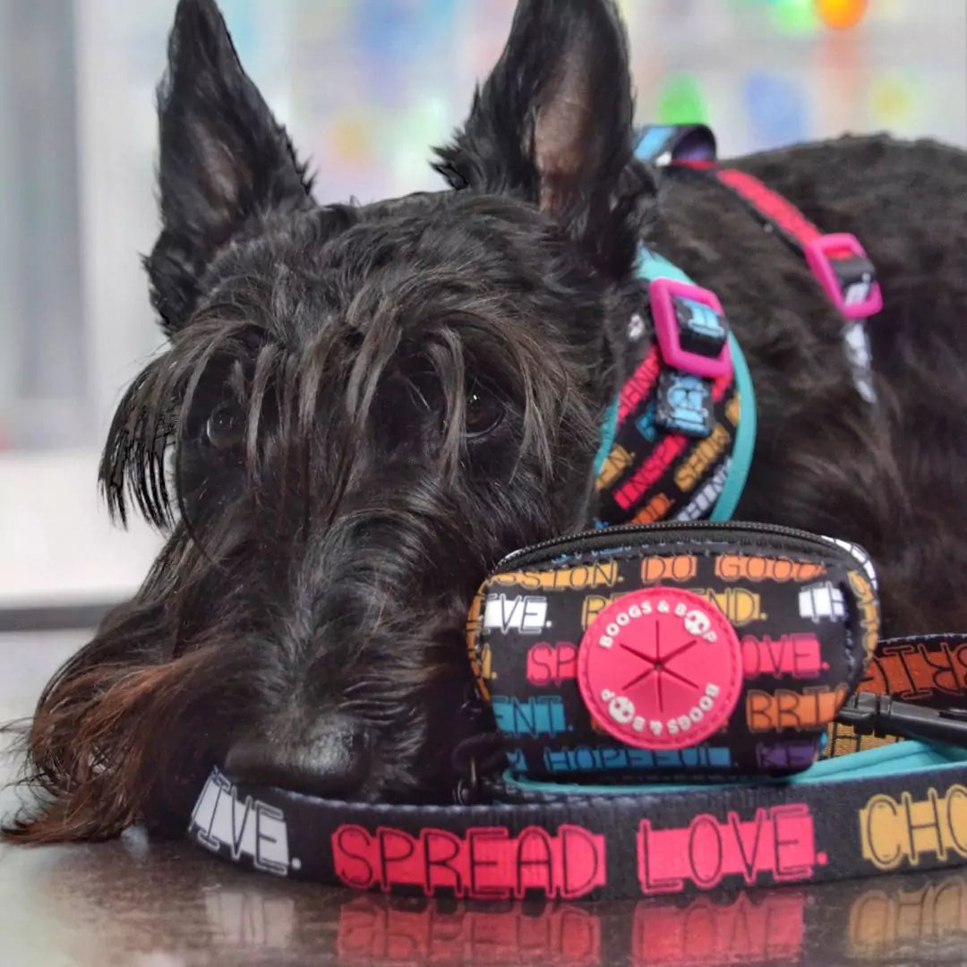 Scottish Terrier Ginger Wearing Pawsitive Affirmations Waste Bag Dispenser and Matching Leash by Boogs & Boop.