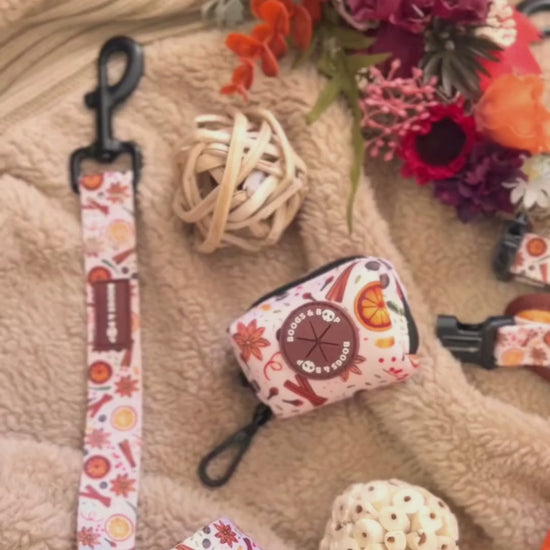 View Boogs & Boop's Winter Spice Bundle Box: Your Dog’s Seasonal Walk Kit Video.