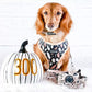 Milladivadoxie Dachshund Wearing Boogs & Boop Reversible Signature Print Dog Harness and Walk Set for Halloween.