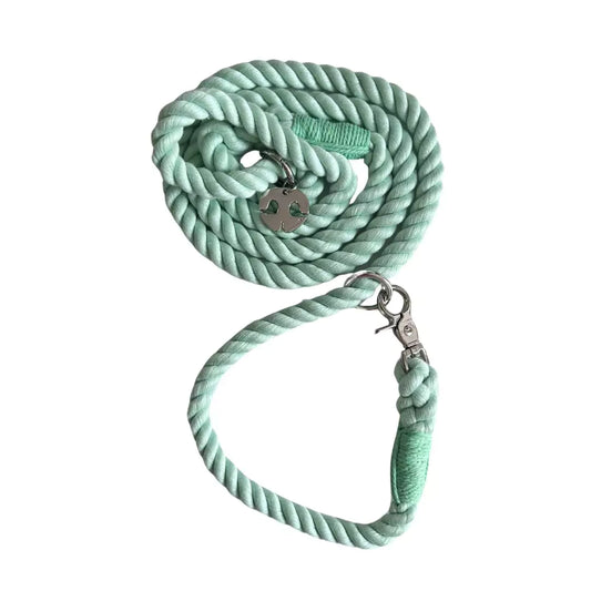 Shop Rope Dog Leash Collar Combo - Mint Green by Boogs & Boop.