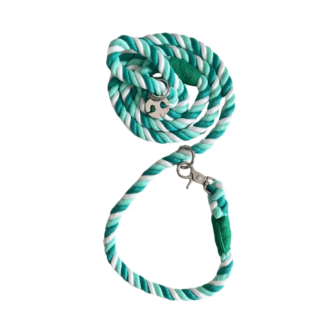 Shop Rope Dog Leash Collar Combo - Seafoam Green by Boogs & Boop.