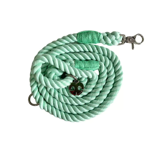 Shop Rope Dog Leash - Mint Green by Boogs & Boop.