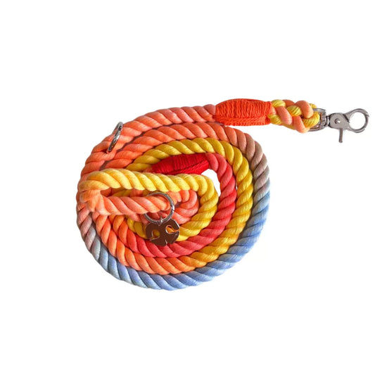 Shop Rope Dog Leash - Rainbow Bright by Boogs & Boop.