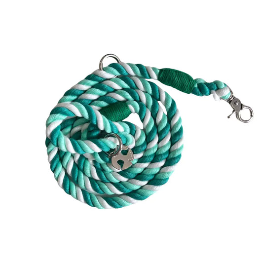 Shop Rope Dog Leash - Seafoam Green by Boogs & Boop.