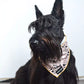 Scottish Terrier Wearing Signature Beige Heart Tie-On Bandana by Boogs & Boop.
