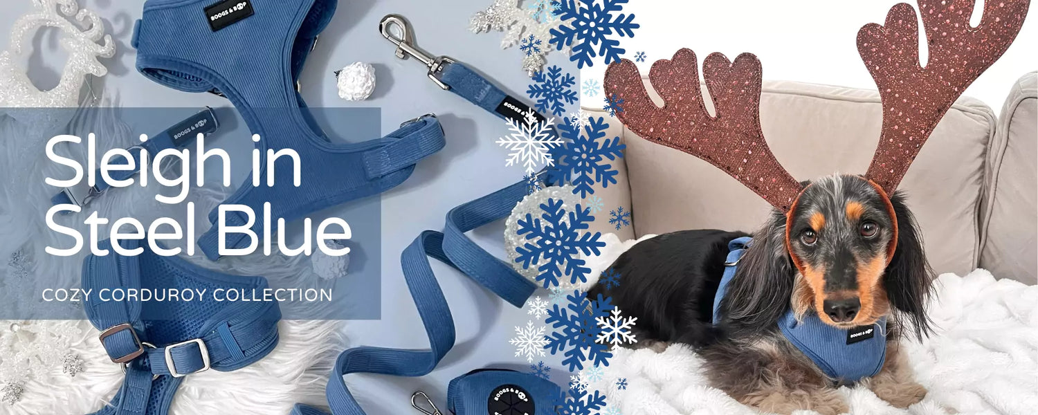 Shop Winter Steel Blue Corduroy Dog Accessories Collection by Boogs & Boop.