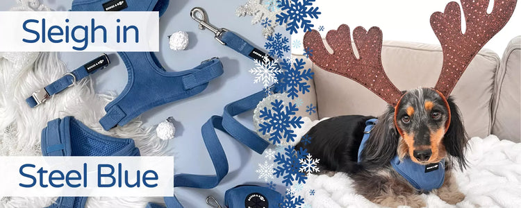 Shop Winter Steel Blue Corduroy Dog Accessories Collection by Boogs & Boop.