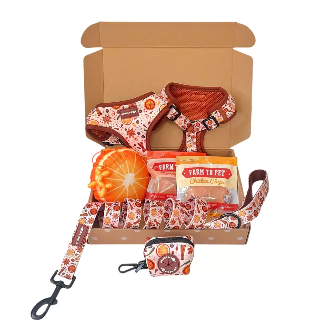 Shop Winter Spice Bundle Box: Your Dog’s Seasonal Dog Harness Walk Kit by Boogs & Boop.