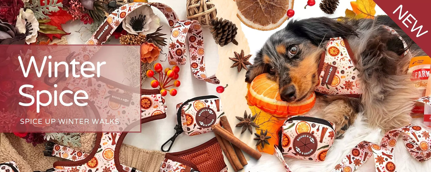 Shop Winter Spice Dog Accessories Collection by Boogs & Boop.