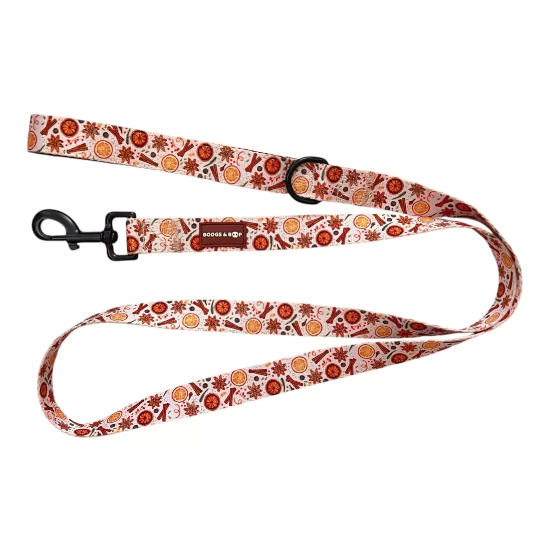 Shop Winter Spice Dog Leash by Boogs & Boop.