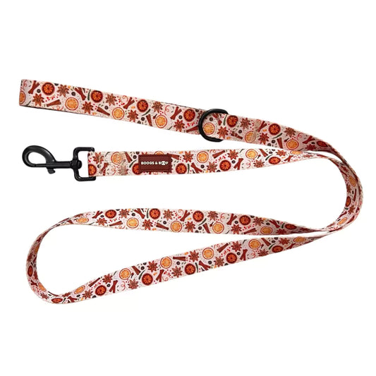 Shop Winter Spice Dog Leash by Boogs & Boop.