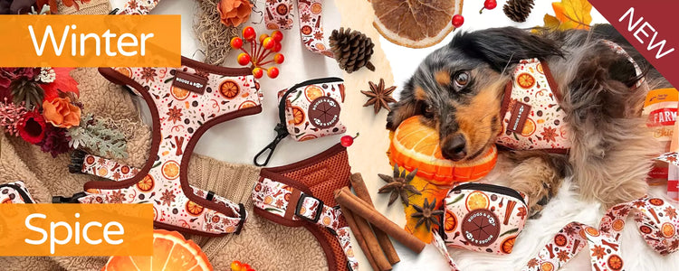 Shop Winter Spice Dog Accessories Collection by Boogs & Boop.