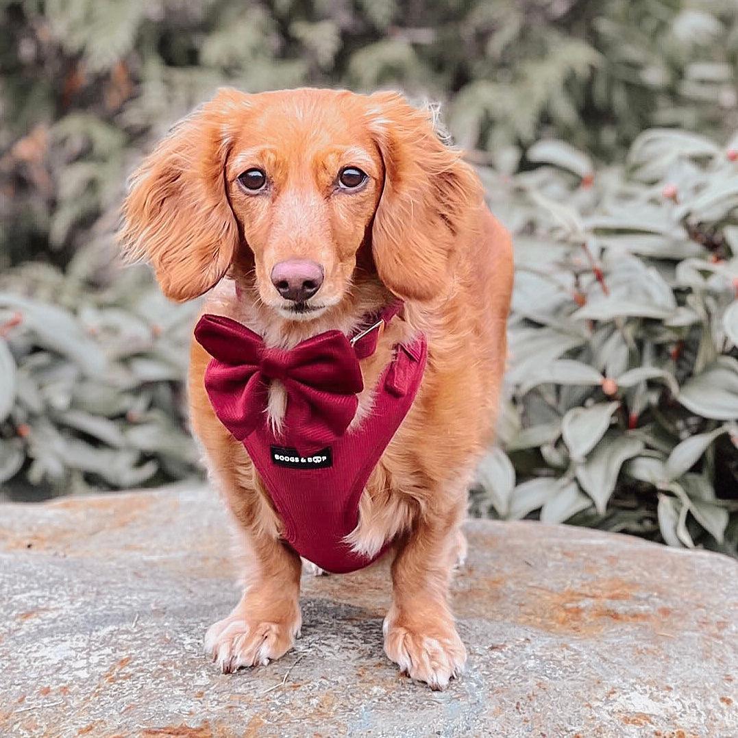 Corduroy Sailor Bow Tie Berry